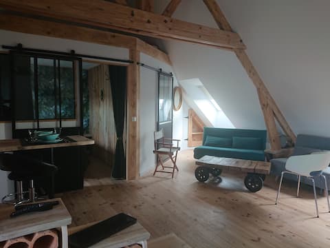 Successful Airbnb property: Apartment in Port Bail Sur Mer