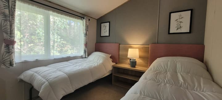 2 normal size single beds