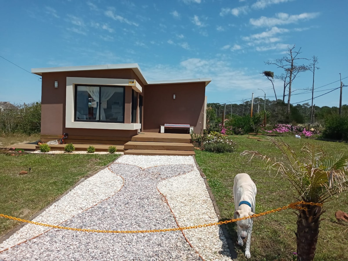 A modern house is set on a grassy area, featuring a clear pathway leading to the entrance. Large windows offer a view of the outside, while nearby greenery and flowering plants enhance the surrounding landscape. A dog is seen walking along the pathway.