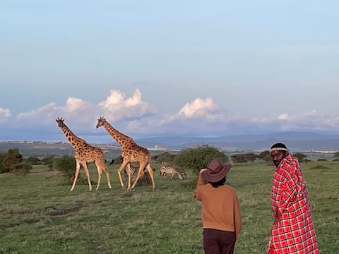 Ecohome 5* wilderness within sight of the airport