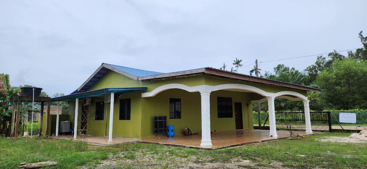 A single-story house with a vibrant green exterior is framed by a spacious porch supported by ornate columns. A blue roof complements the structure, while large windows allow natural light into the interior. Surrounding greenery adds a sense of tranquility.