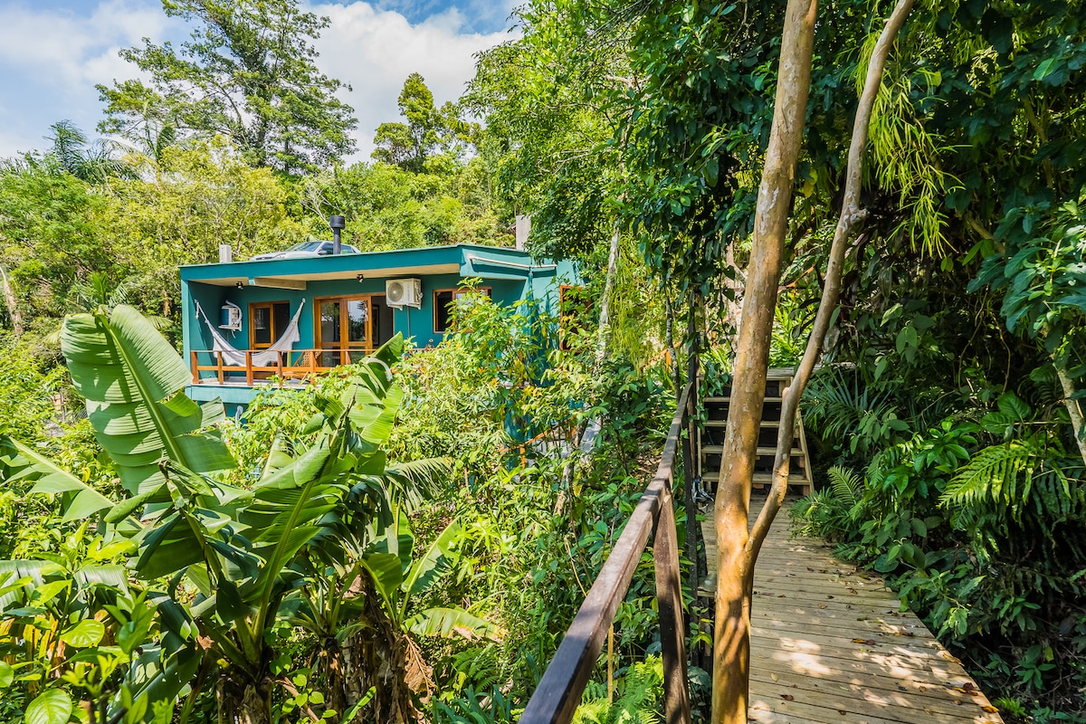 A charming house displays vibrant blue walls, nestled within lush greenery. A wooden pathway leads to the entrance, surrounded by tropical plants and trees, creating a serene and earthy environment. The scenic backdrop is enhanced by the natural landscape and the clear blue sky.