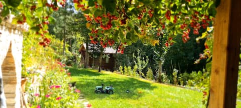 Vineyard House (Nightingale's Nest 1)