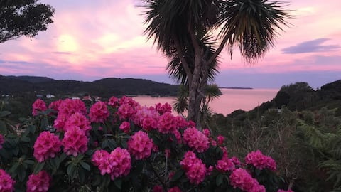Bellbird Retreat Stewart Island
