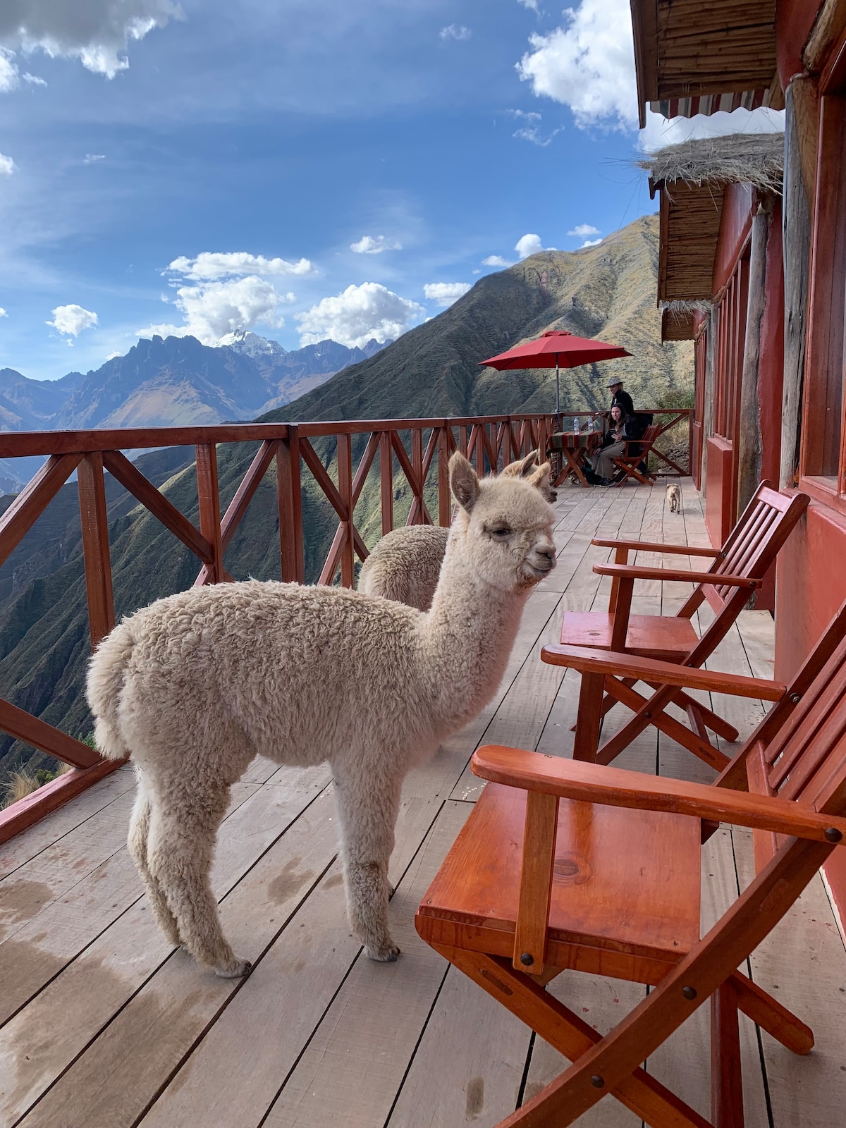 Two alpacas stand on a wooden terrace, surrounded by breathtaking mountainous scenery. Wooden chairs are arranged nearby, with an umbrella providing shade. The view showcases a clear blue sky with scattered clouds and distant peaks, creating a serene outdoor space.