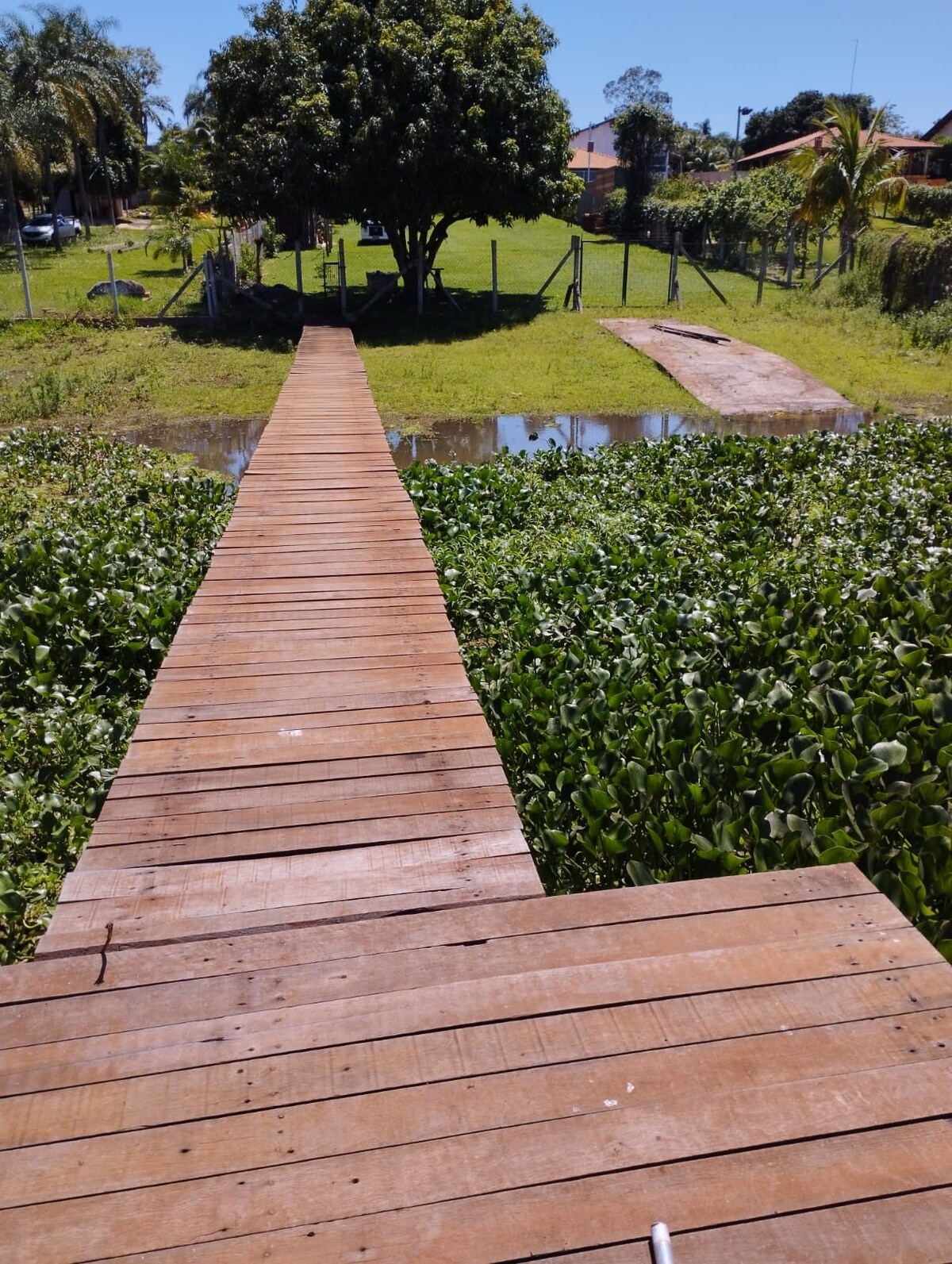 A wooden pathway extends over lush green grass, leading toward a tree and open space beyond. Surrounding vegetation includes water plants, contributing to a serene landscape. The pathway's texture and natural materials are visible, enhancing the connection to the outdoors.