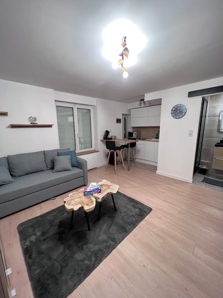 Beau Studio Hyper Centre Place Stanislas - Nancy