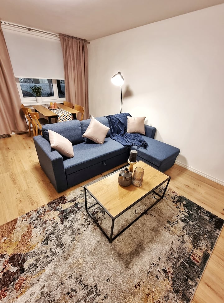 Spacious City Center Apartment Apartments for Rent in Tartu, Tartu