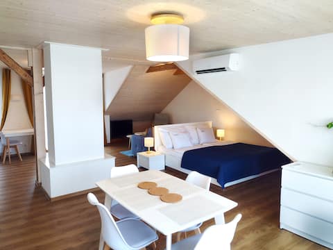 Top performing Airbnb: Apartmán Kollarovi in České Budějovice