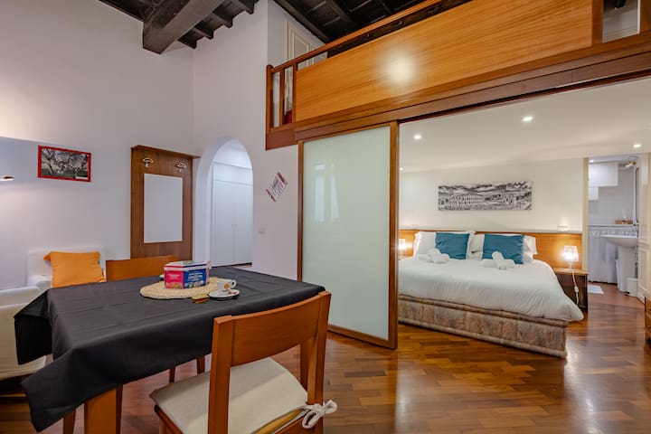 Savelli Loft Roma centro