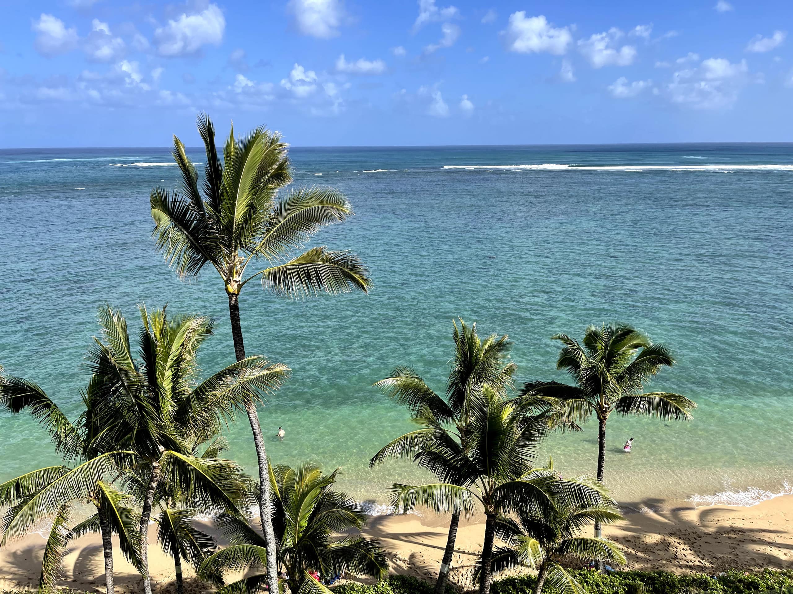 Amazing Beachfront Family Condo - Main photo
