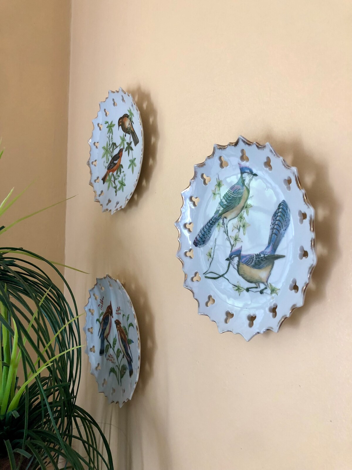 Three decorative plates featuring illustrations of various birds are displayed on a soft-colored wall. The plates have intricate scalloped edges and vibrant designs, with leafy accents highlighting the bird motifs. A green plant in the foreground adds natural texture to the scene.