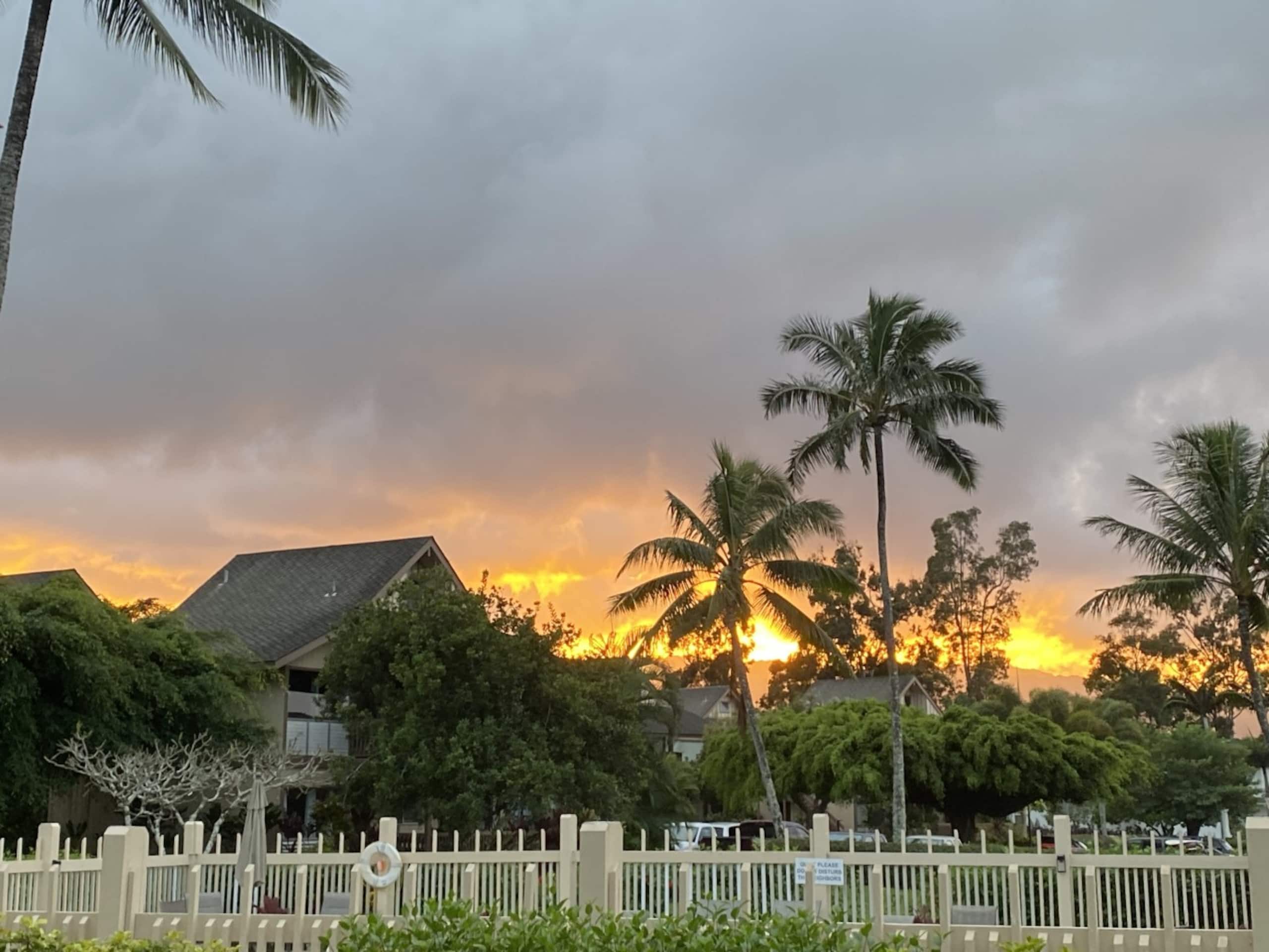Newly Renovated Condo with Pool! - Image 16