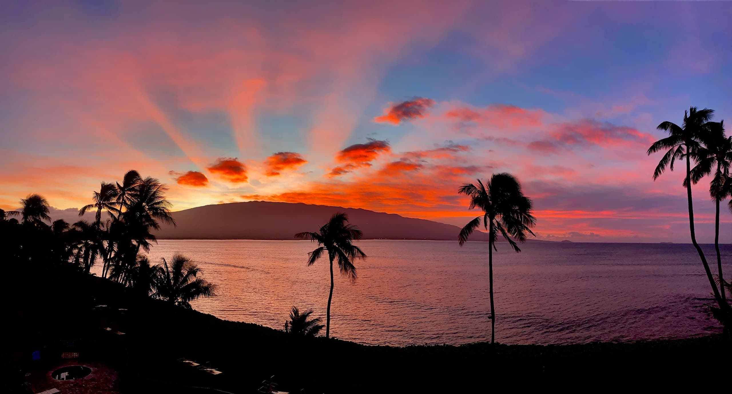 Condo in Wailuku · ★4.96 · 1 bedroom · 1 bed · 1 bath - Image 10