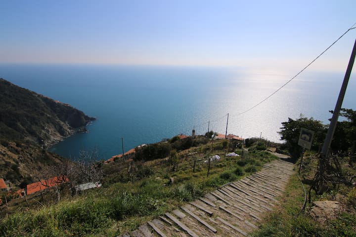 listing_image