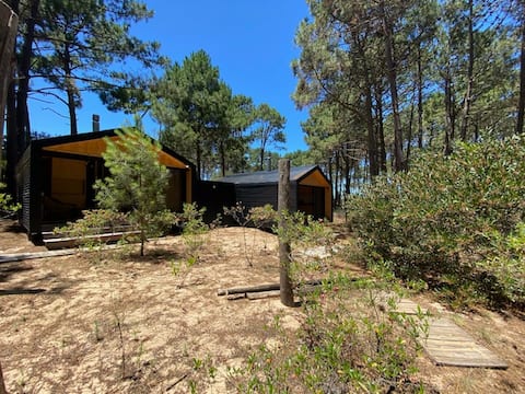 Anuncio de Airbnb popular: Forest and beach 2 en Chihuahua