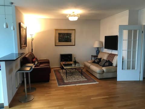 Successful Airbnb property: Spacious apartment with view, near UN, Geneva. in Petit Saconnex Et Servette