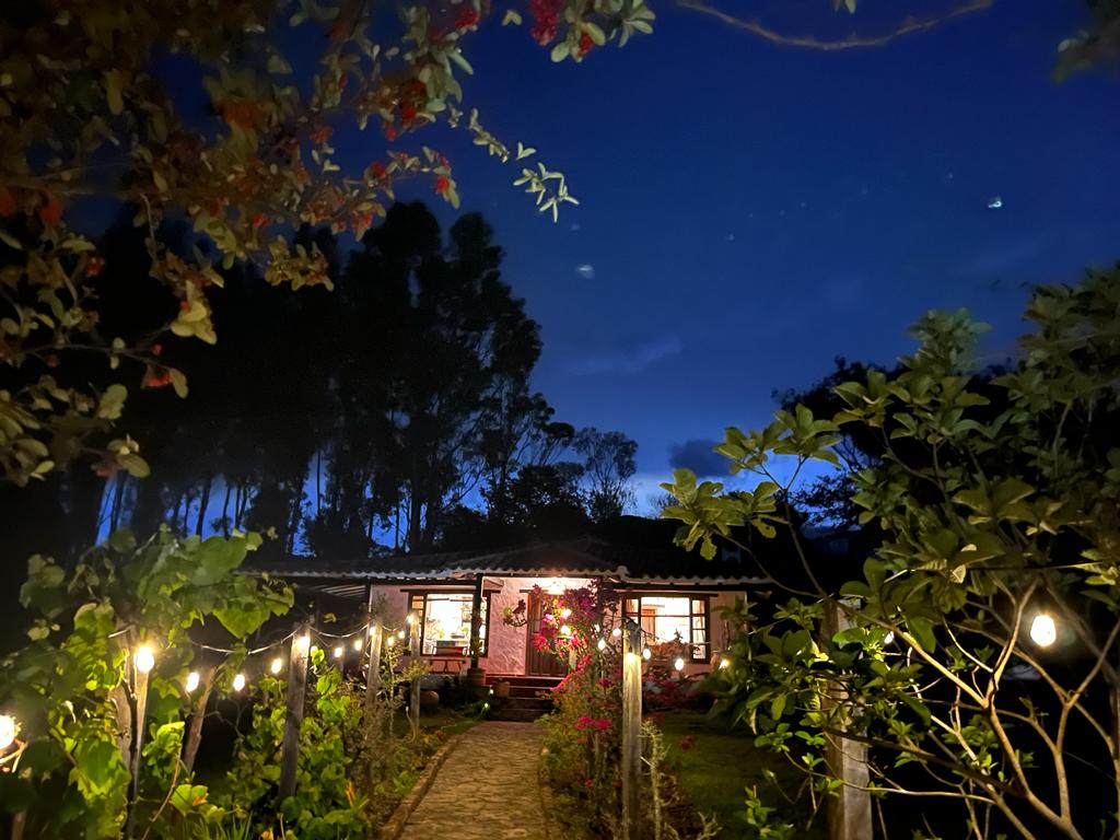 A charming pathway lined with string lights leads to a cozy dwelling surrounded by lush foliage. The night sky is visible above, highlighting the peaceful ambiance. The building features large windows, suggesting a welcoming interior illuminated from within.