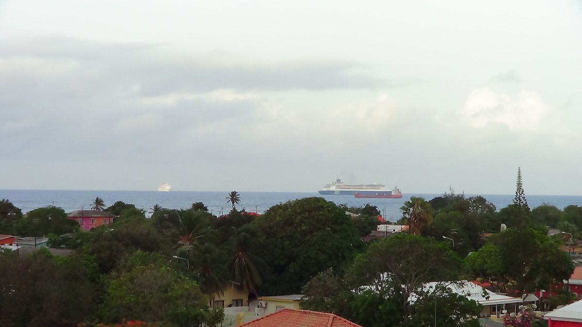 A view of the sea featuring two ships in the distance. The horizon blends with soft clouds, while lush green trees and colorful buildings are visible in the foreground, contributing to the serene coastal landscape.