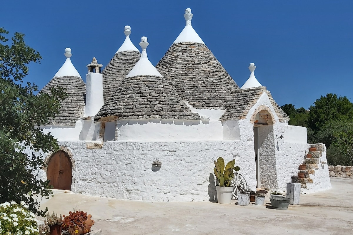 A traditional trullo structure is showcased, featuring multiple conical roofs and a distinctive white stone facade. Surrounding vegetation includes potted plants and vibrant flowers, adding to the rustic charm. The clear blue sky complements the unique architectural style.