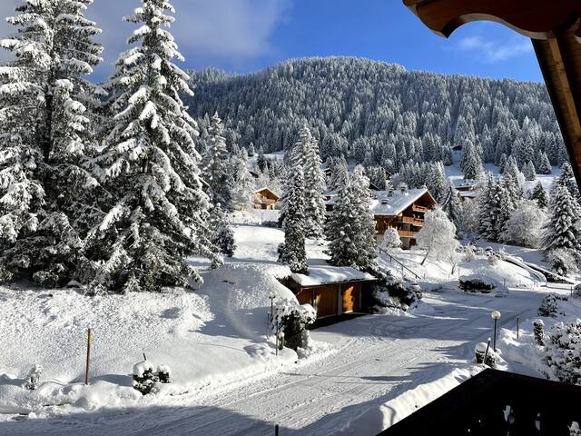 Penthouse Chalet-Apartment (180 m2) gallery image 4