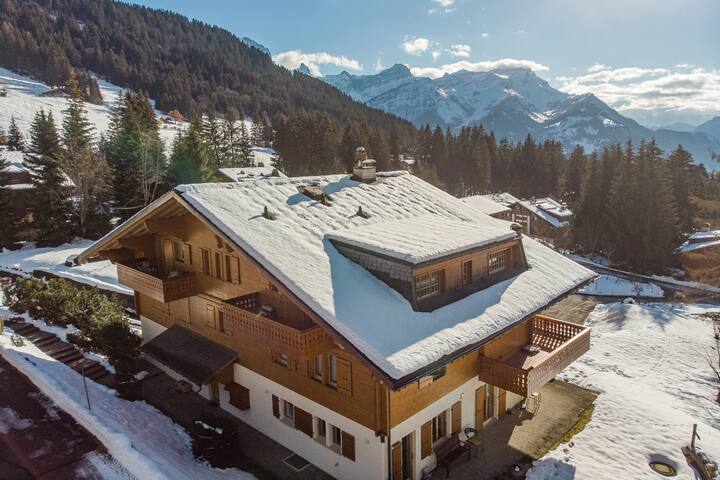 Penthouse Chalet-Apartment (180 m2) gallery image 5