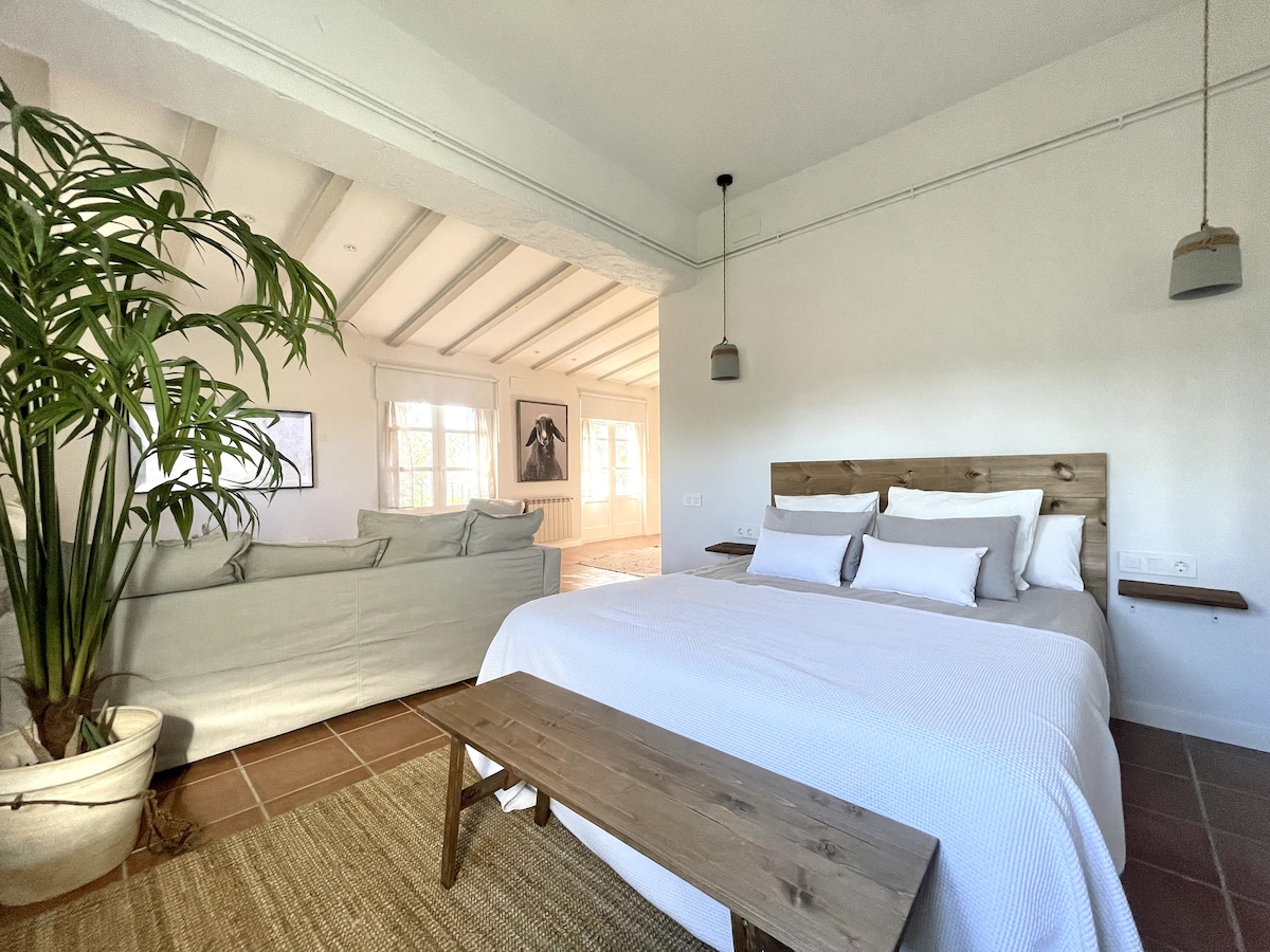 A spacious bedroom features a large bed adorned with neutral-toned bedding. A wooden bench at the foot complements the rustic decor. To the side, a potted plant adds a touch of greenery, while natural light streams in through the nearby windows, illuminating the airy interior.