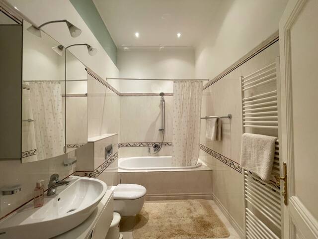 Luxury City Center Apartment gallery image 4