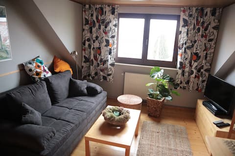 Top performing Airbnb: Luftherz vacation rental in Eisenach