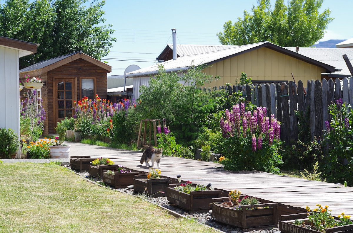 A garden pathway is lined with colorful flowers in wooden planters, leading to a small wooden shed. A cat is seen walking along the path, surrounded by greenery and vibrant floral displays. A fence and additional buildings form the background of the scene.