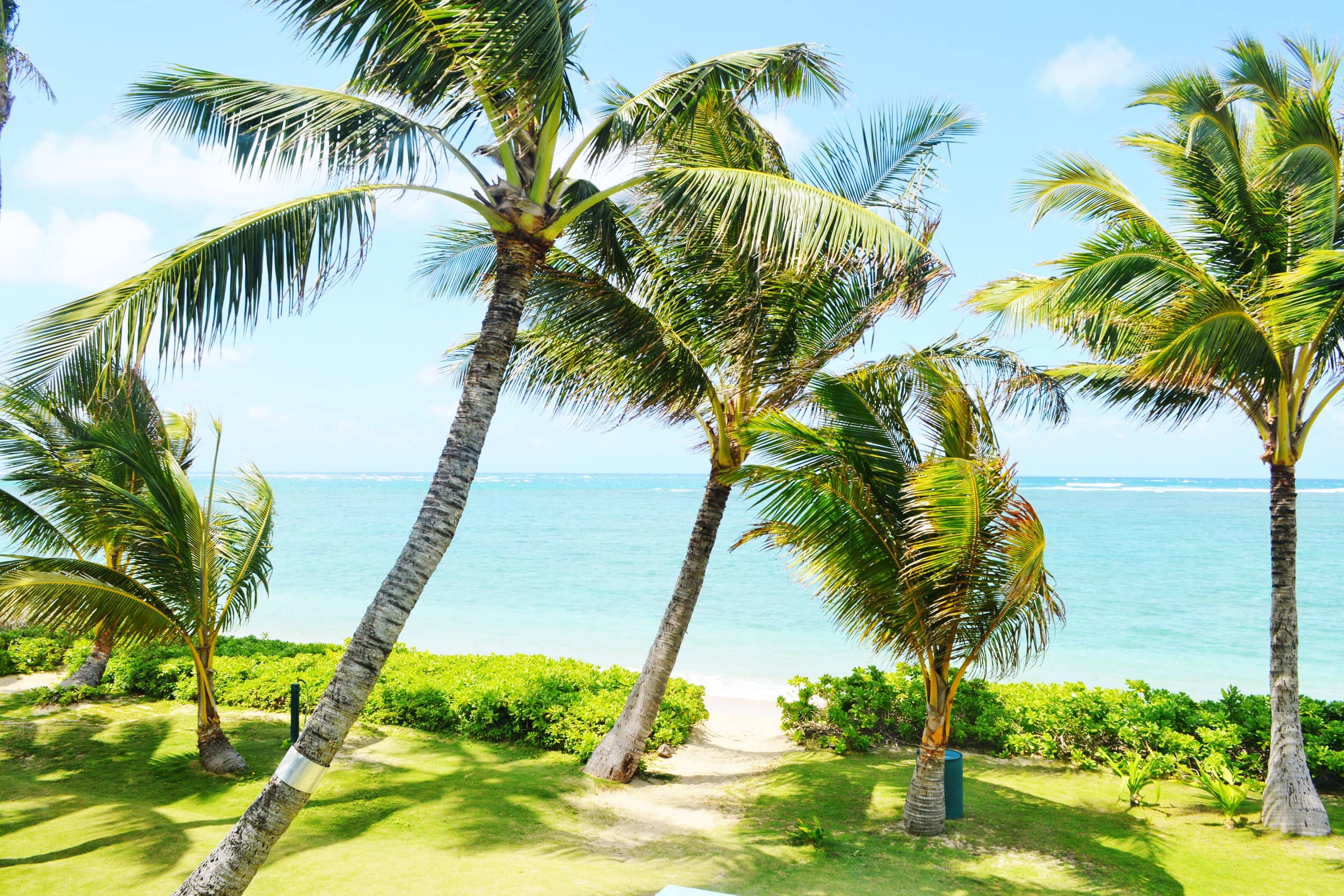 Blue Hawaii Sandy Beachfront Cottage - Image 4