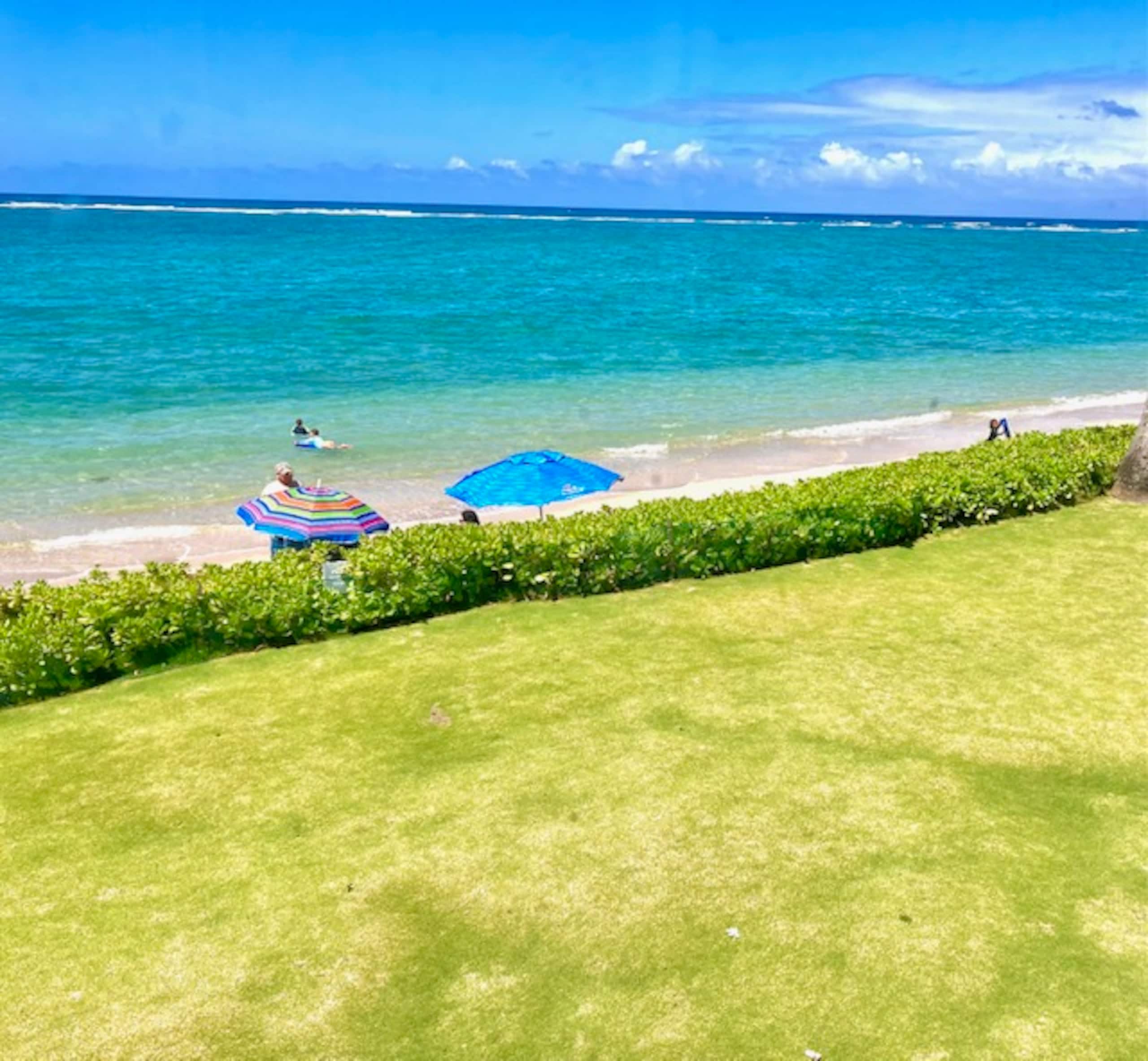Blue Hawaii Sandy Beachfront Cottage - Image 22