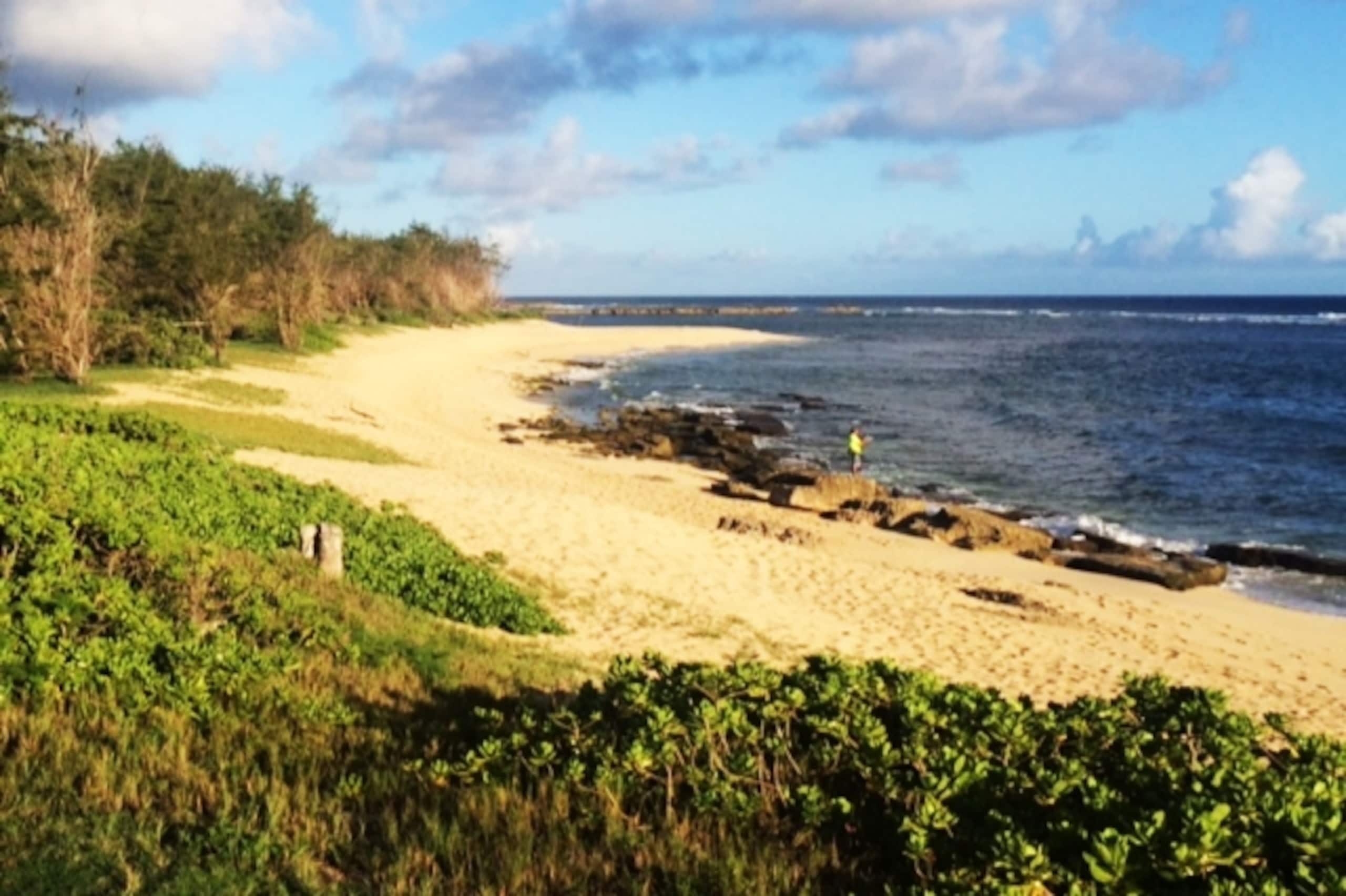 Blue Hawaii Sandy Beachfront Cottage - Image 35