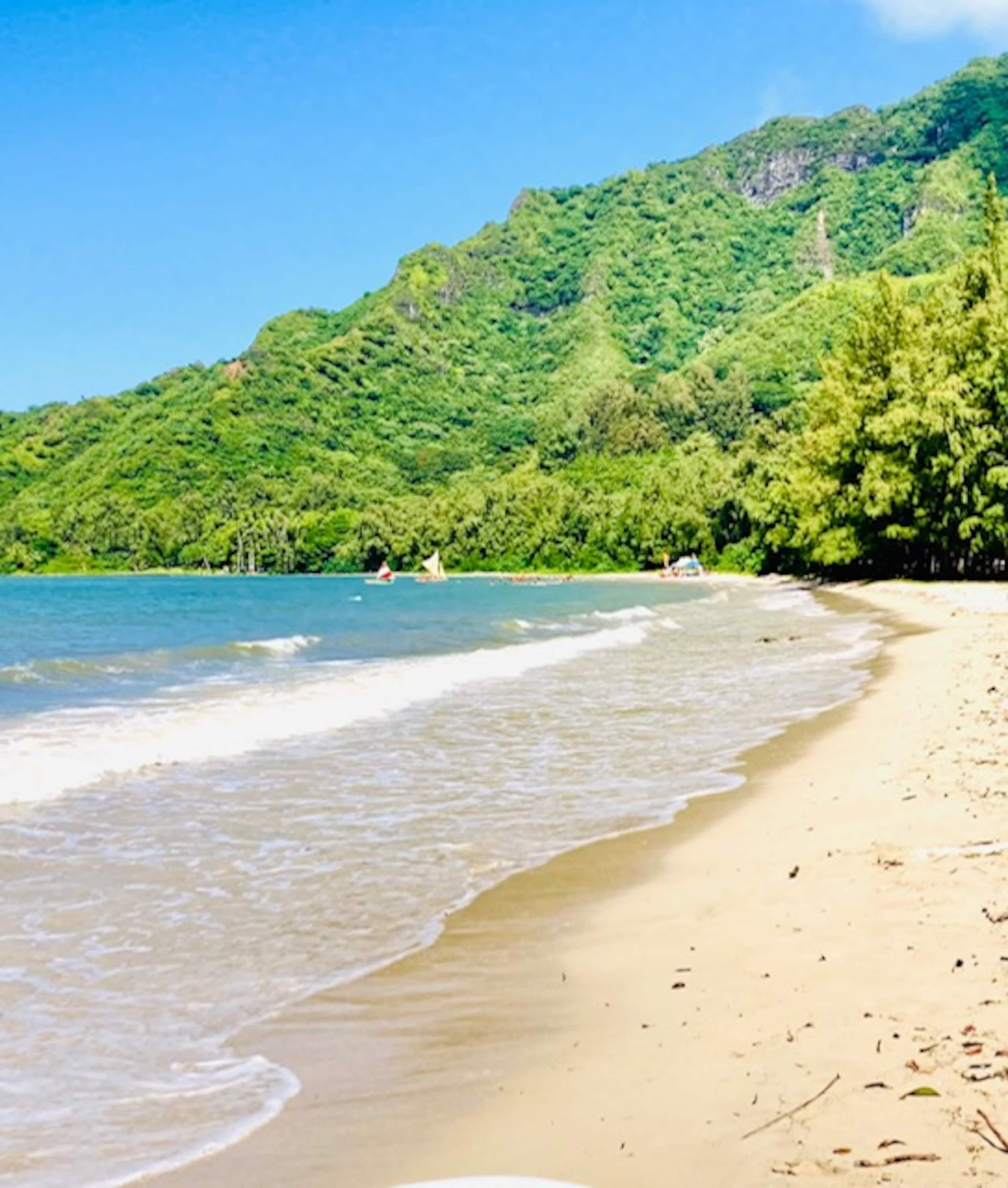 Blue Hawaii Sandy Beachfront Cottage - Image 34