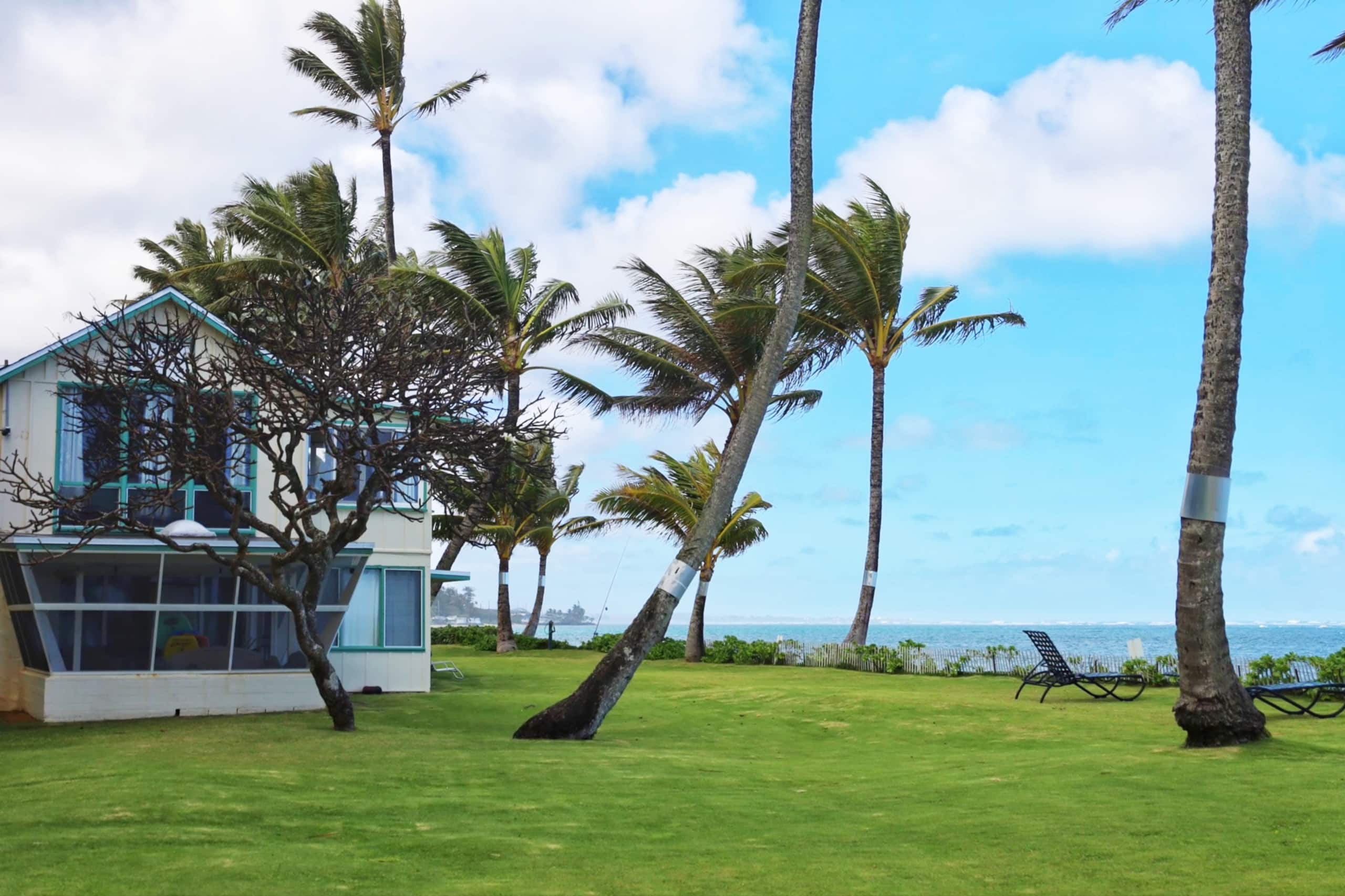 Blue Hawaii Sandy Beachfront Cottage - Image 28