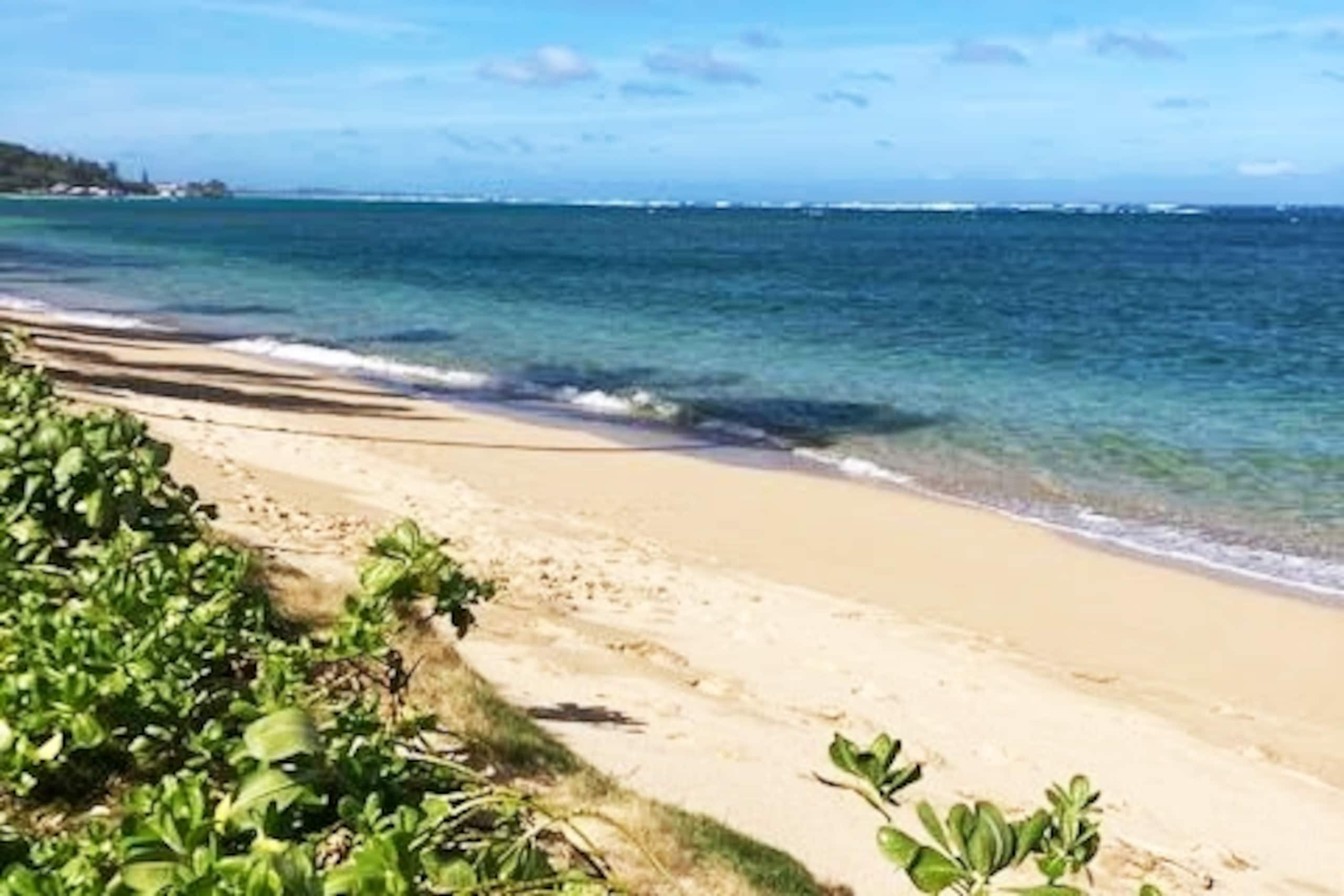 Blue Hawaii Sandy Beachfront Cottage - Image 21