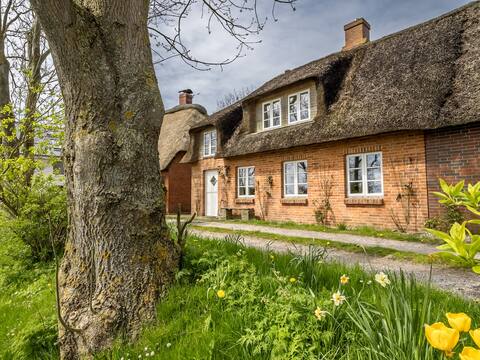 Thatched roof house with special charm - Westertilli 8