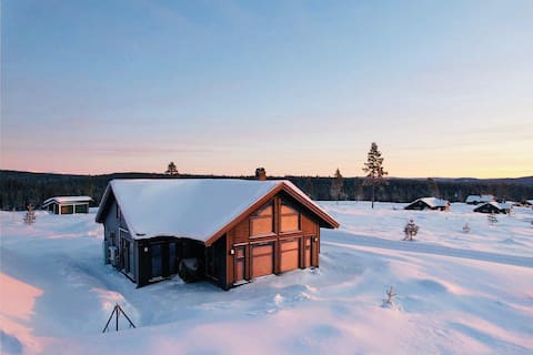 Popular Airbnb listing: Cabin in Norway - YEAR-ROUND - New in 2022 in Åmot