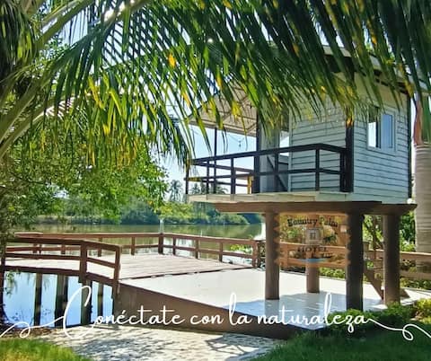 Hotel kountry Palm 3 Texana