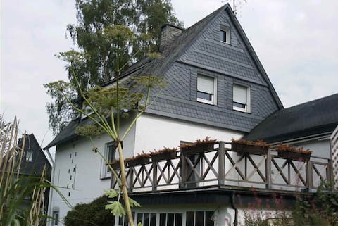 View of the mountains, forest and meadow