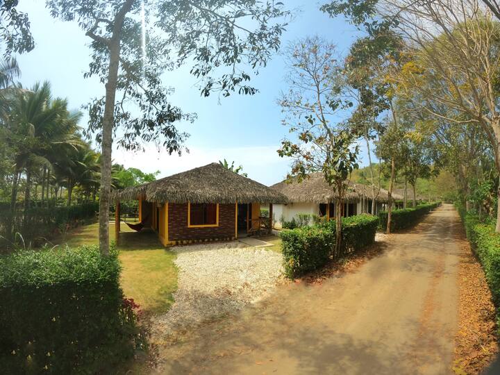 Villa Hermosa peace and rest on Olon beach Houses for Rent in Olon