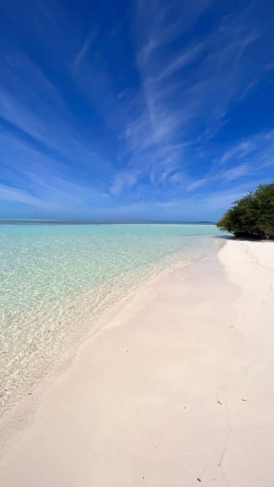 A serene beach scene is presented, featuring soft white sand meeting clear turquoise waters. Gentle ripples reflect the bright blue sky, while lush greenery edges the shoreline, creating a tranquil atmosphere suitable for relaxation.