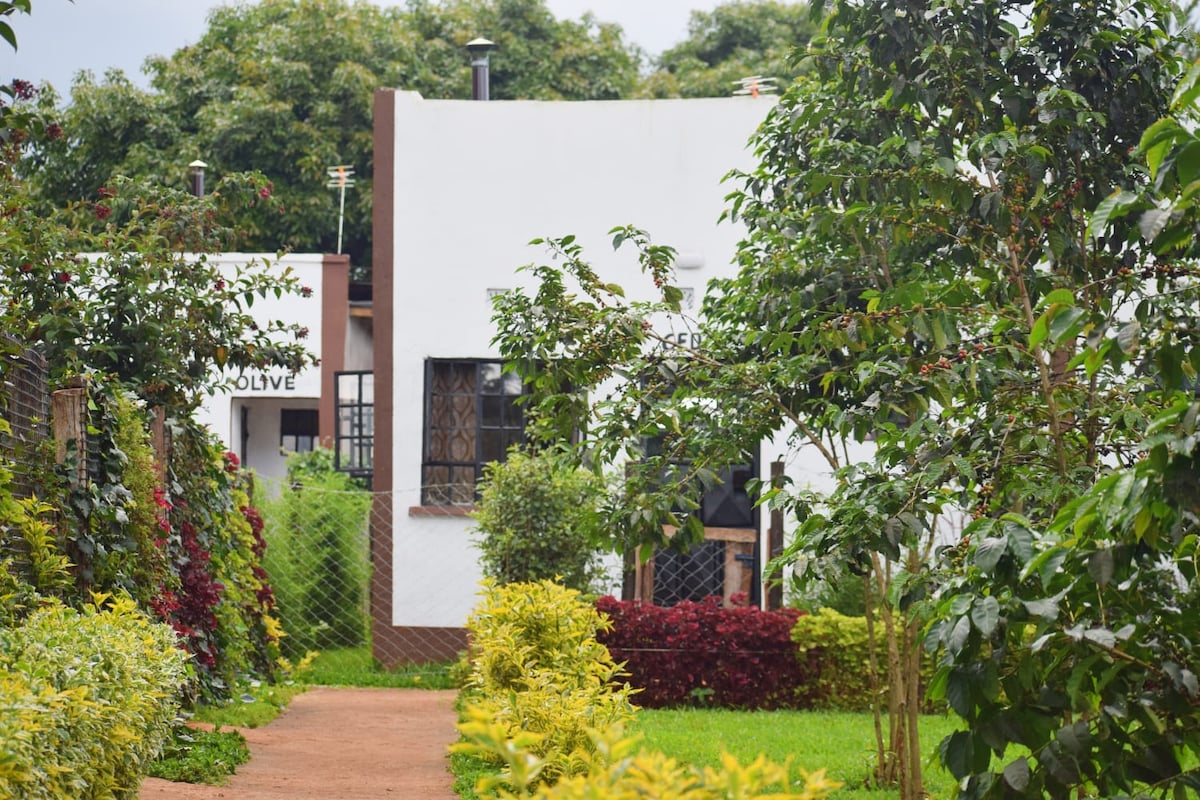 A pathway lined with vibrant foliage leads to a modern building featuring large windows. The surroundings are adorned with various shrubs and flowering plants, creating a lush and inviting atmosphere. The structure has a simple, contemporary design that complements the natural landscape.