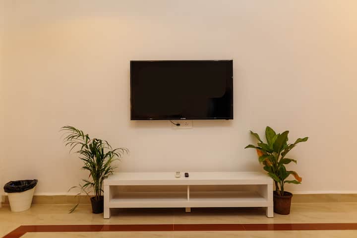 55 inch TV