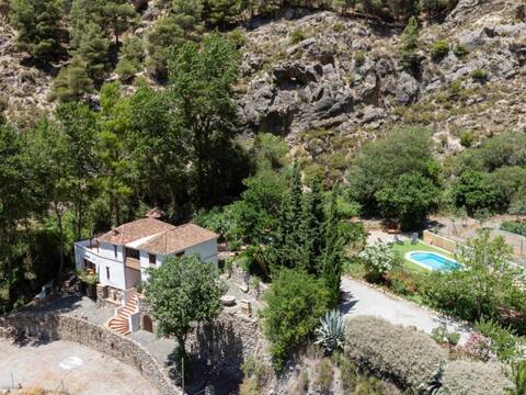Molino Alto Vergara