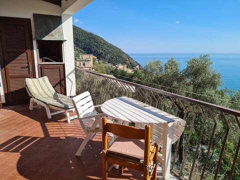 Framura between olive trees and the sea near 5Terre