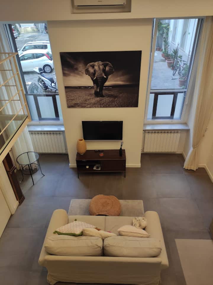 Santa Lucia Apartment flat, Apartments for Rent in Napoli, Campania