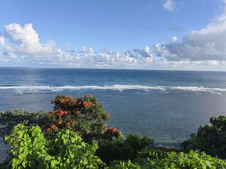 Peaceful Princeville Condo! Apartments for Rent in Princeville