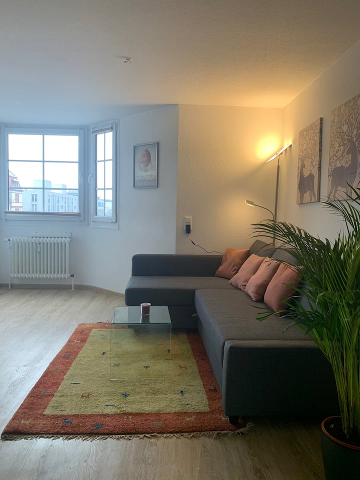 Fein Maisonette In The City Center Near Uni - Heidelberg