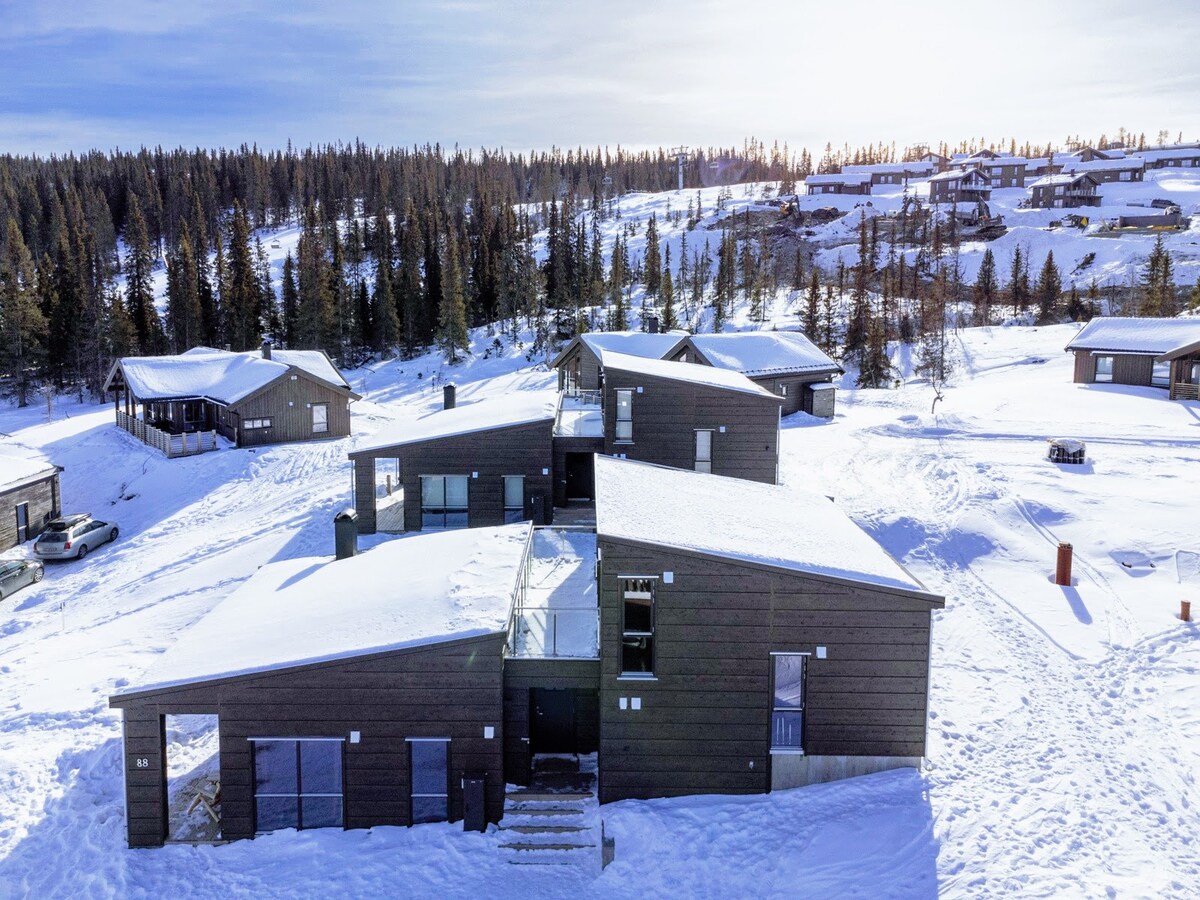 An aerial view captures a modern wooden cabin, surrounded by a snowy landscape. Sleek architectural lines are visible, along with a snow-covered roof. Several other cabins are positioned in the background, framed by tall evergreen trees under a clear blue sky.